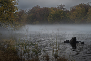 Autumn on the Farmington - Photo by Kevin Hulse