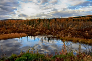 Class A 2nd: Autumn Reflections by Barbara Steele