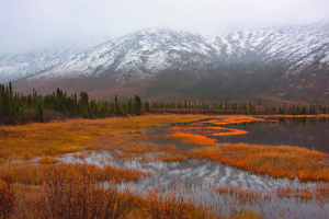 Autumn Reflections - Photo by Ben Skaught