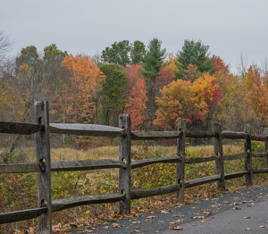 Autumn Walk - Photo by Marylou Lavoie