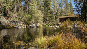 Babbling Brook - Photo by Jim Patrina