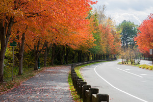 Beautiful Iron Horse Boulevard - Photo by Marylou Lavoie