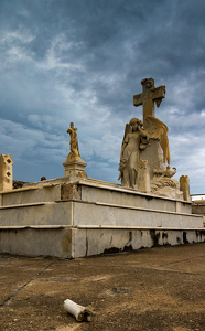 Bone in the boneyard - Photo by Nancy Schumann