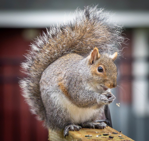 Breakfast of Champions - Photo by Amy Keith