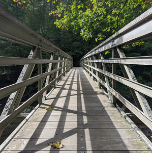 Bridge - Photo by Alison Wilcox