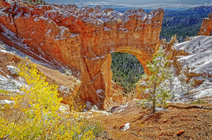 Bryce Canyon Natural Bridge - Photo by John McGarry