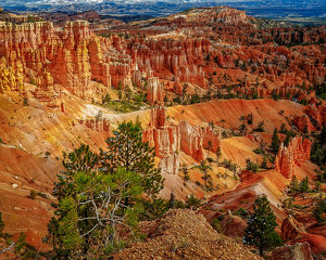 Salon HM: Bryce Canyon Overlook #2 by John McGarry