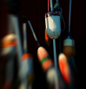 Buoys - Photo by Alene Galin