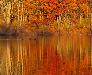 Burnt Orange Reflections - Photo by Marylou Lavoie