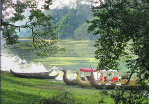 Cambodian Dragon Boats - Photo by Louis Arthur Norton