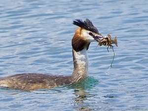 Catch of the Day - Photo by Quyen Phan