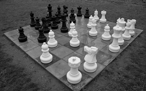 Check Mate - Photo by Bill Latournes