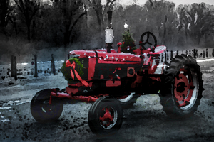 Christmas at Wade's Farm - Photo by Jeff Levesque