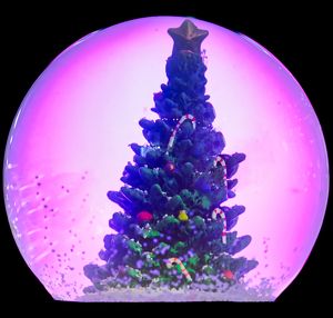 Christmas Planet - Photo by Pamela Carter