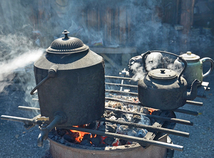 Coffee Or Tea In New Zealand - Photo by Louis Arthur Norton