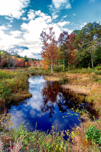 Colebrook - Photo by John Parisi