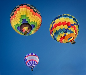 Colorful Trio - Photo by John McGarry