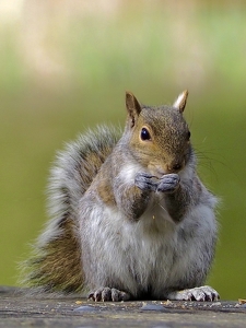 Crumbs Everywhere - Photo by Quyen Phan