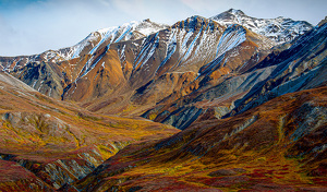 Denali Delight - Photo by Linda Fickinger