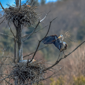 Did you order this? - Photo by Frank Zaremba MNEC