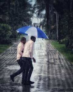 Dodging Raindrops - Photo by Dolores Brown