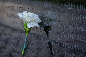 Don't Ever Forget The Veterans - Photo by Bill Payne