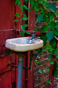 Drinks are on the House - Photo by Alene Galin