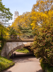 Early Spring in Central Park - Photo by Pamela Carter