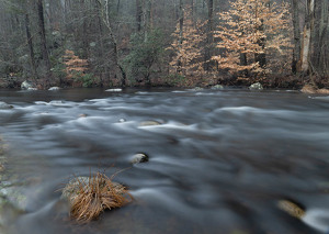 Eight Mile River in Flood - Photo by Kevin Hulse