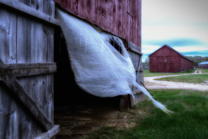 Empty Tobacco Shed - Photo by Bill Payne