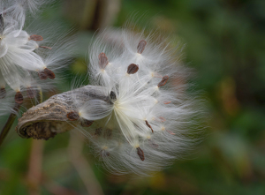 End Of Summer - Photo by Marylou Lavoie