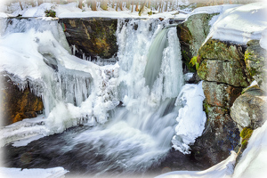 Enders in February - Photo by Bill Payne