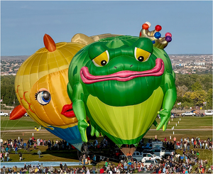 Excuse Me, You're Blocking My View - Photo by Susan Case