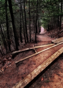 Exiting the Trail - Photo by Dolores Brown