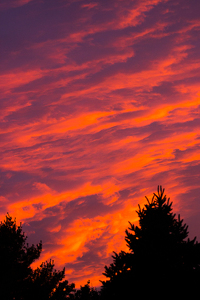 FALL SKY - Photo by Aadarsh Gopalakrishna