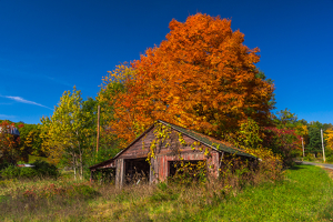 Faded Glory - Photo by Arthur McMannus