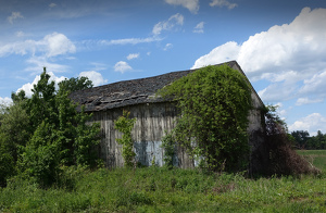 Failed Roof - Photo by Bruce Metzger