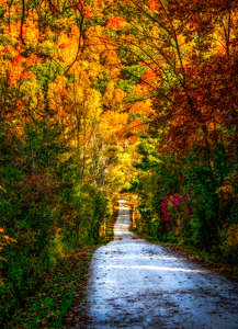 Fall afternoon 2019 - Photo by John Parisi