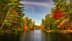 Fall at Quabbin Reservoir - Photo by Jim Patrina