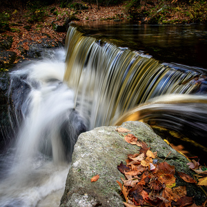 Fall Colors - Photo by Bill Payne