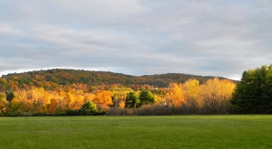 Fall Evening - Photo by Cheryl Picard