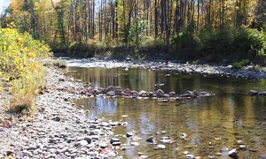 Fall in Massechusetts - Photo by Harold Grimes