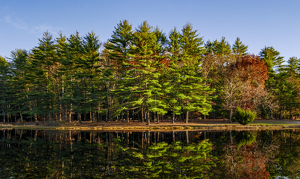 Fall Reflection - Photo by John Clancy