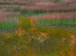 Fall reflections in Maine - Photo by Richard Provost