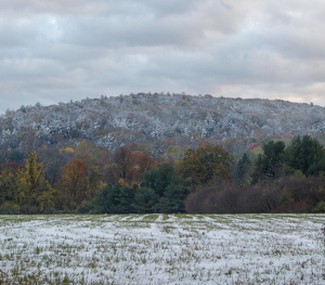 Fall Snow - Photo by Cheryl Picard