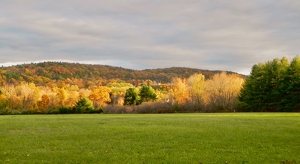 Fall Splendor - Photo by Cheryl Picard