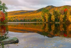 Fall splendor - Photo by Richard Provost