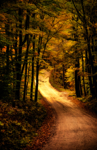 fall trail - Photo by John Parisi