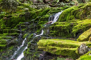 Falls Brook Falls - Photo by Mark Tegtmeier