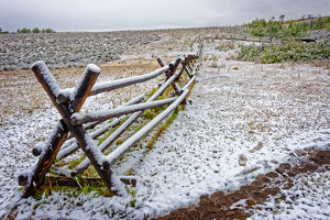 Fence Line - Photo by John McGarry